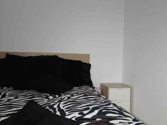 ArtLove13 webcam