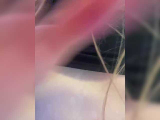PALMIIRA from BongaCams is Freechat