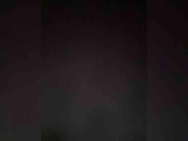 PALMIIRA webcam