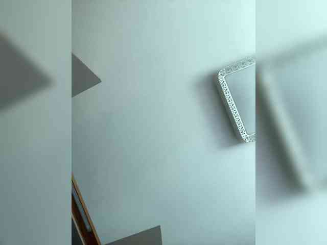 PALMIIRA webcam
