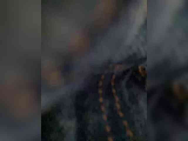 PALMIIRA webcam