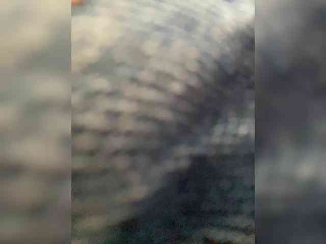 PALMIIRA's webcam live show