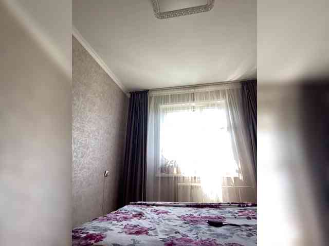 PALMIIRA webcam