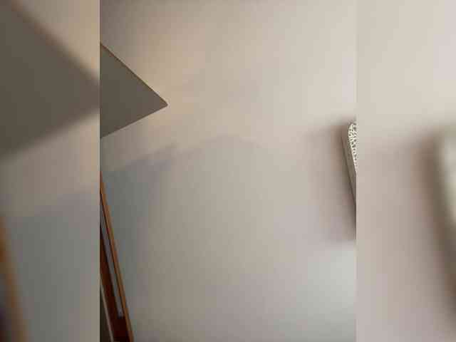PALMIIRA webcam