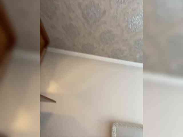 PALMIIRA webcam
