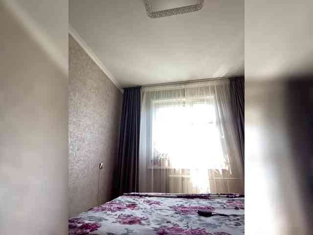 PALMIIRA webcam