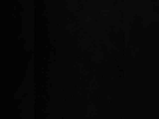 PALMIIRA webcam