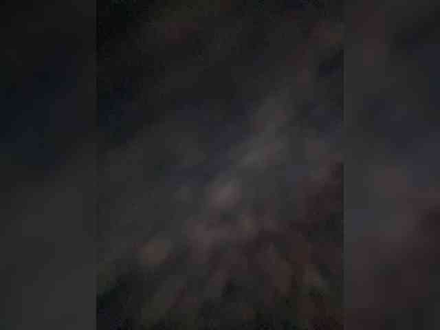 PALMIIRA webcam