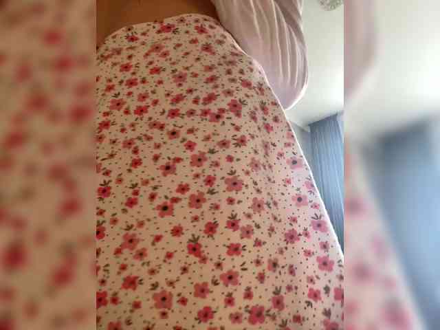 PALMIIRA webcam