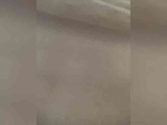PALMIIRA webcam