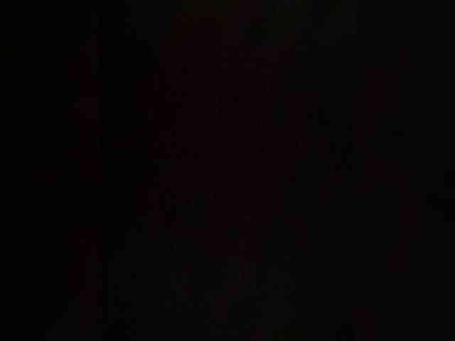 PALMIIRA webcam