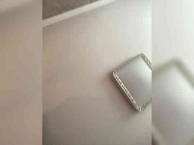 PALMIIRA webcam