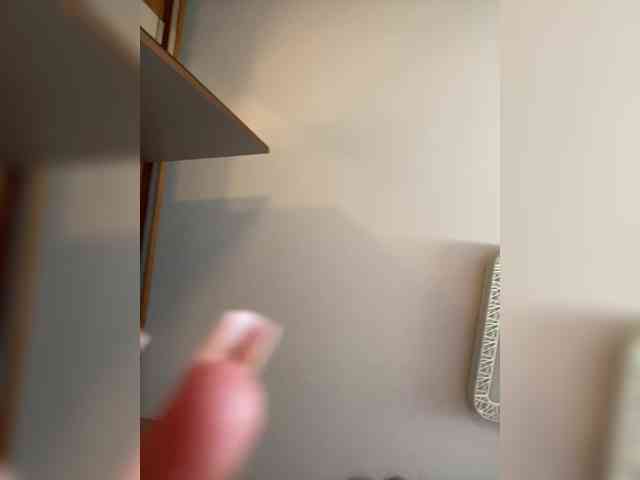 PALMIIRA webcam