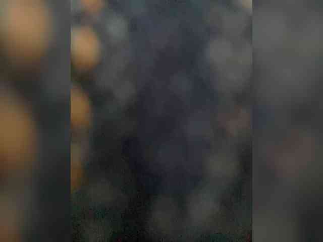 PALMIIRA webcam