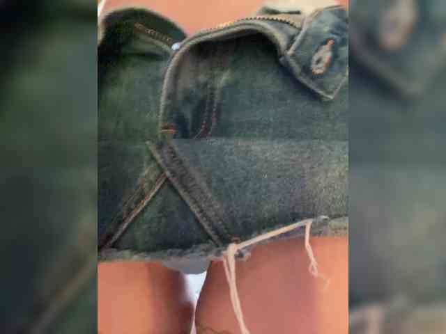 PALMIIRA webcam