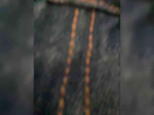 PALMIIRA webcam