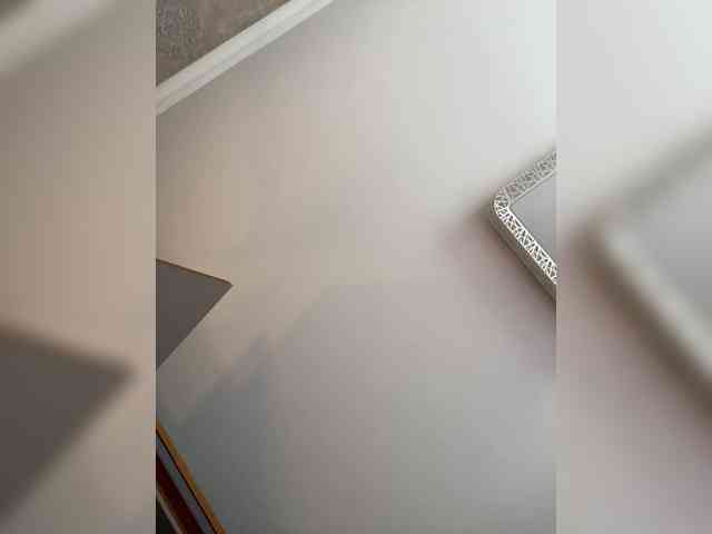 PALMIIRA webcam