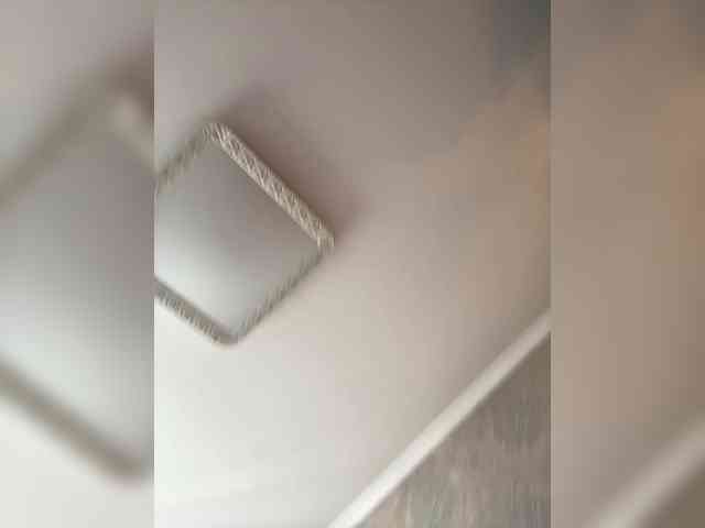 PALMIIRA webcam