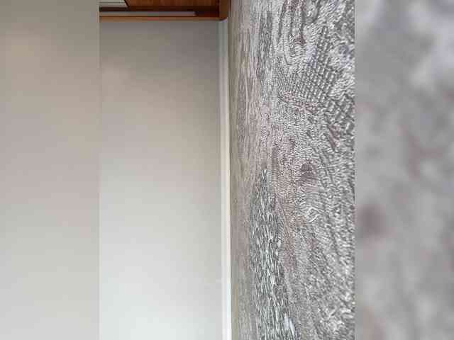 PALMIIRA webcam