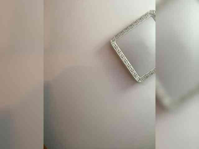 PALMIIRA webcam
