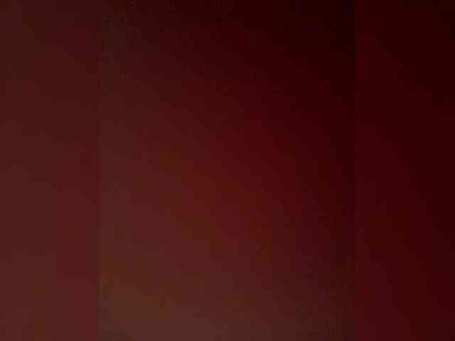PALMIIRA webcam
