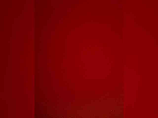 PALMIIRA webcam