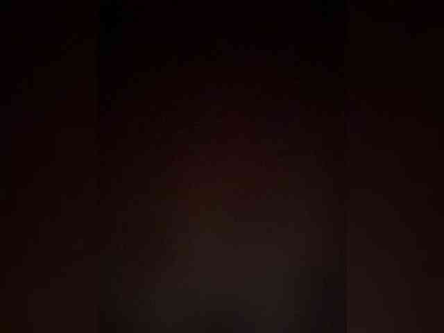 PALMIIRA webcam