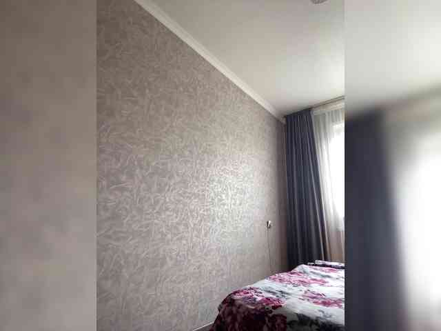 PALMIIRA webcam