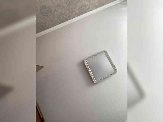 PALMIIRA webcam