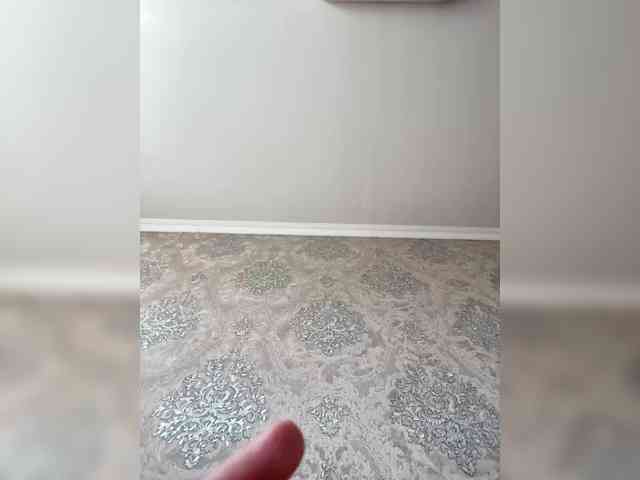 PALMIIRA webcam