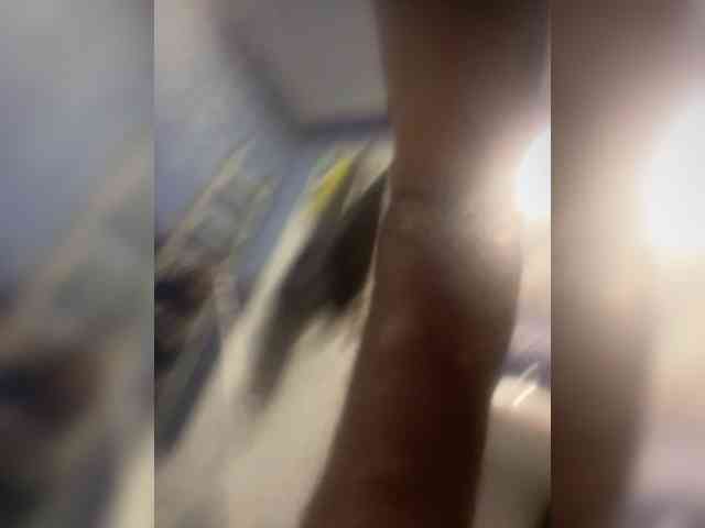 Arabien-Pharaoh-1 Arabien-Pharaoh-1