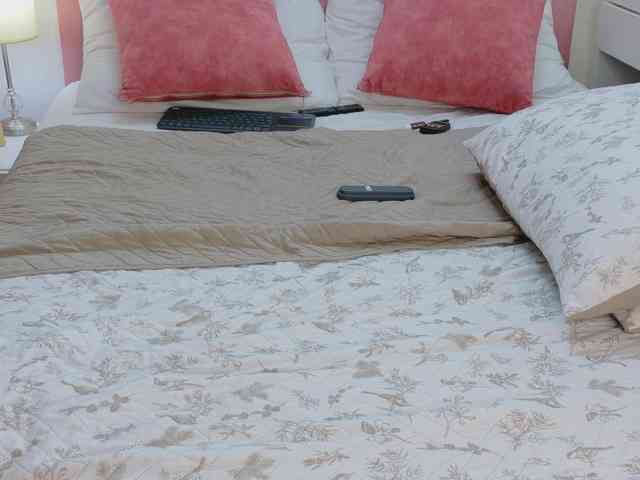 SAM-AND-LISA- webcam