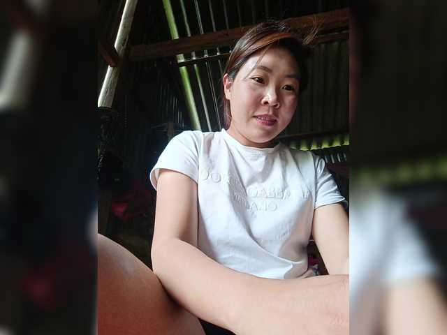 Jasy
