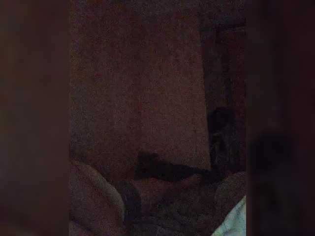 BigWhiteASS