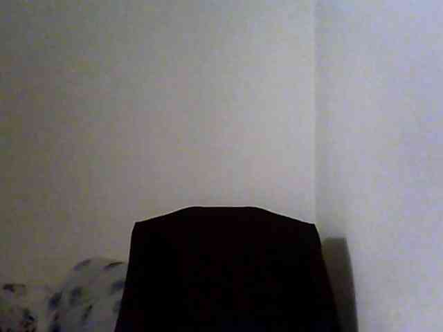 KittyDrive111 KittyDrive111