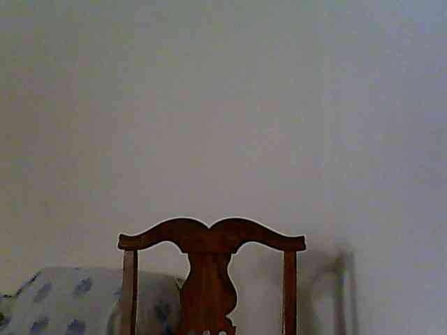 KittyDrive111 webcam