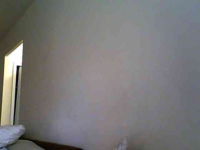 KittyDrive111 webcam