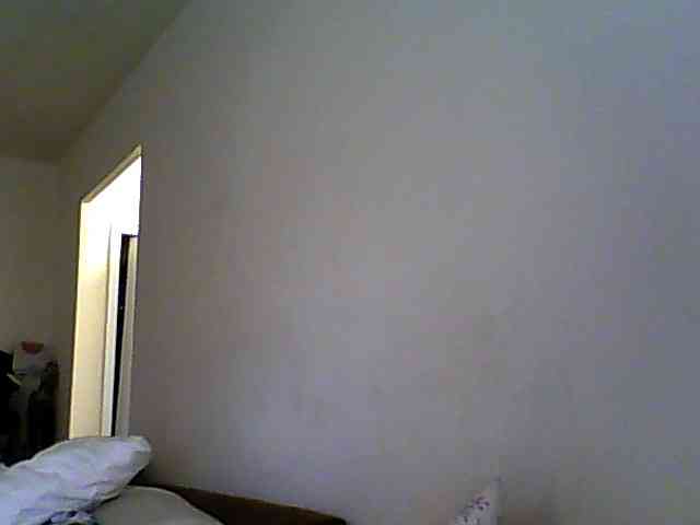 KittyDrive111 webcam