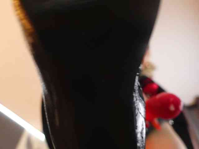 Alexa-Duque Alexa-Duque