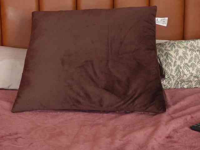 Alexa_Duque webcam