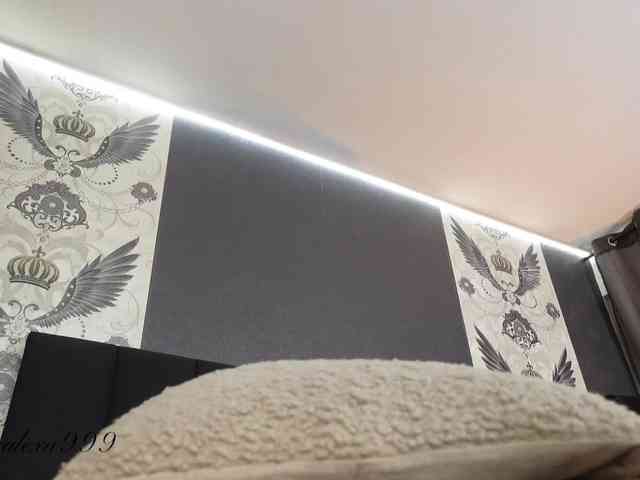 Alexa-Duque Alexa-Duque