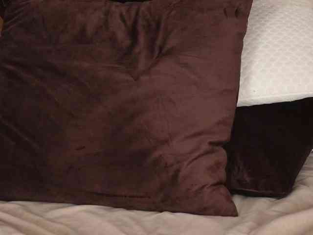 Alexa_Duque webcam