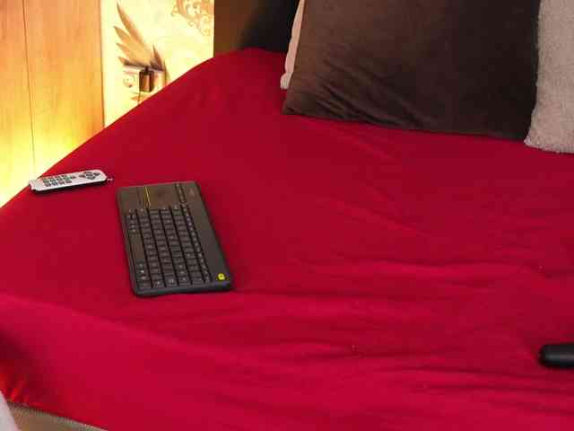 Alexa-Duque Alexa-Duque