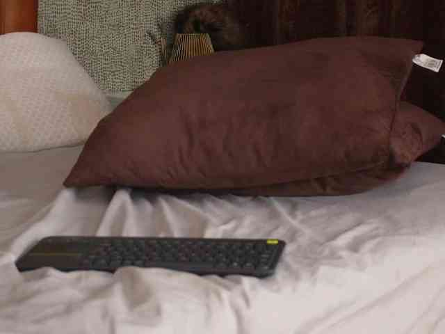 Alexa_Duque webcam