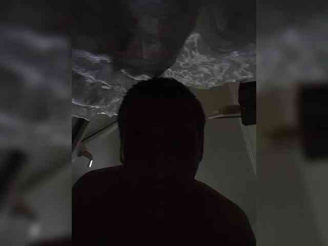Halligan