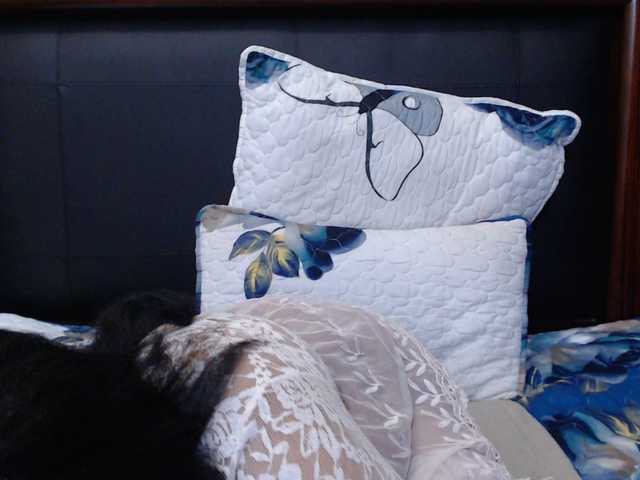  Busttyebony19 chat room