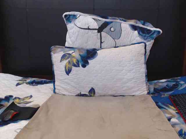 Busttyebony19 webcam