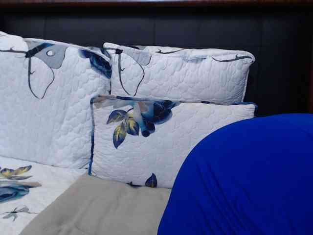 Busttyebony19 webcam