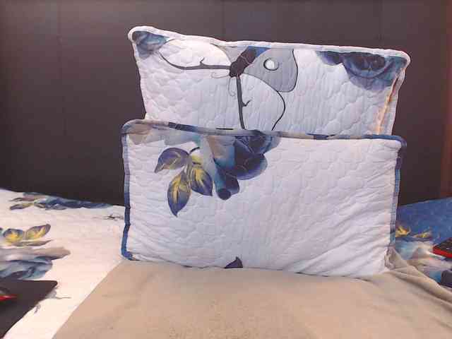 Busttyebony19 webcam