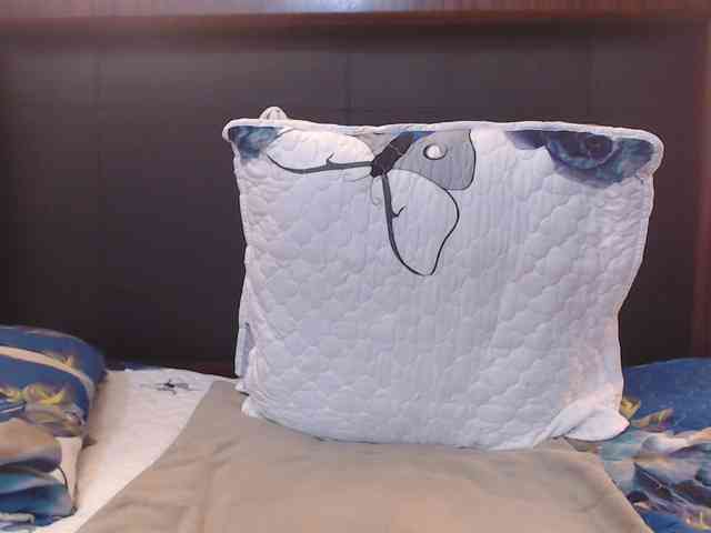 Busttyebony19 webcam